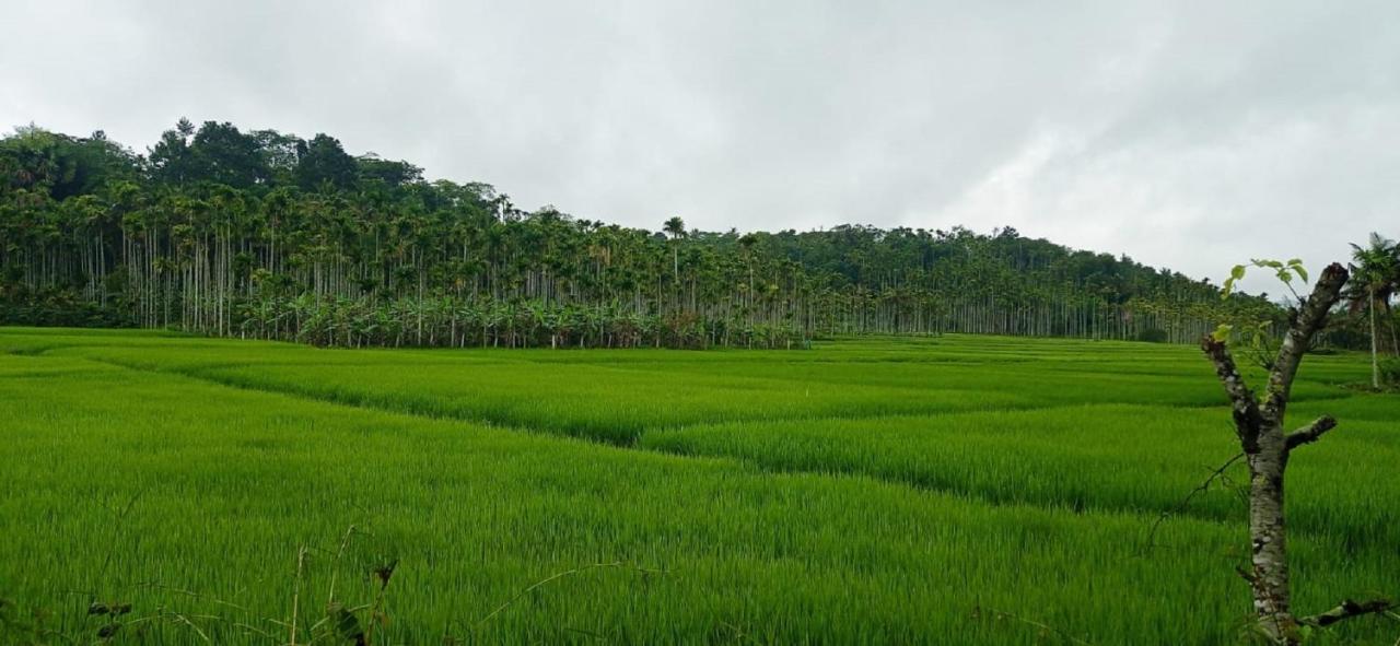 Kuruva Shoreline Wayanad Chegat Экстерьер фото