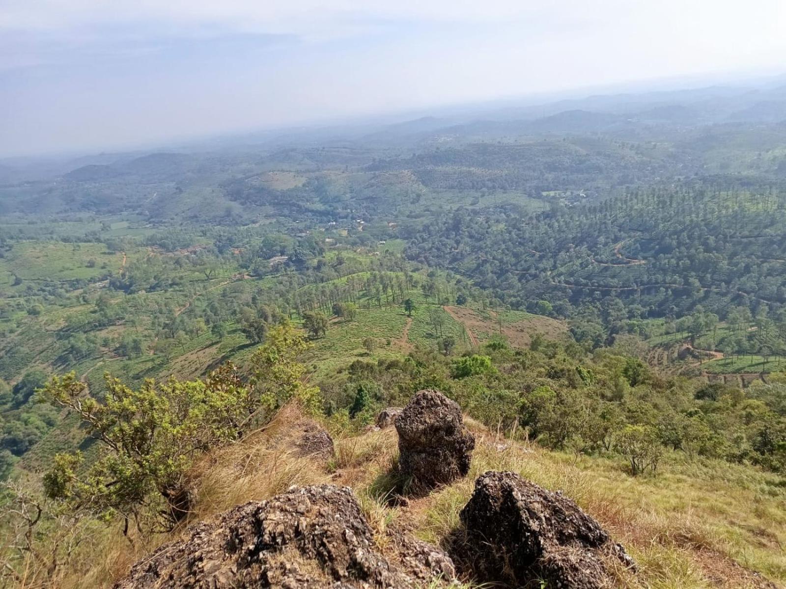 Kuruva Shoreline Wayanad Chegat Экстерьер фото