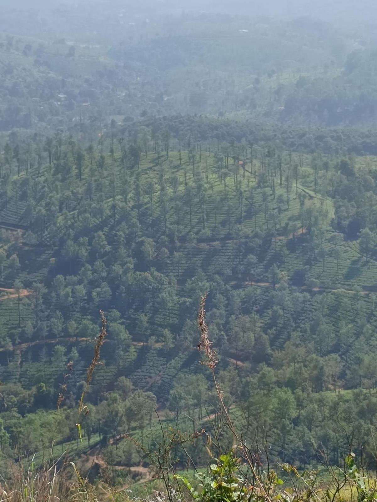 Kuruva Shoreline Wayanad Chegat Экстерьер фото